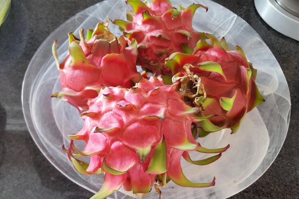 فيلا Le Pitaya Baillif المظهر الخارجي الصورة